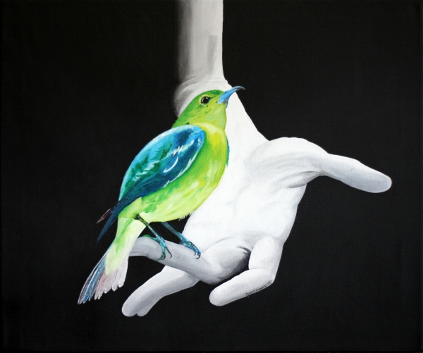 Click here to view birds artwork by ROBERT CROOKER ART 